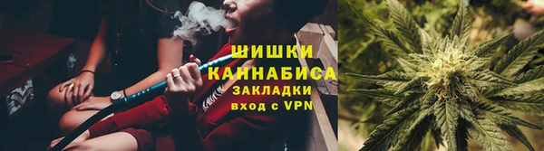 индика Богданович